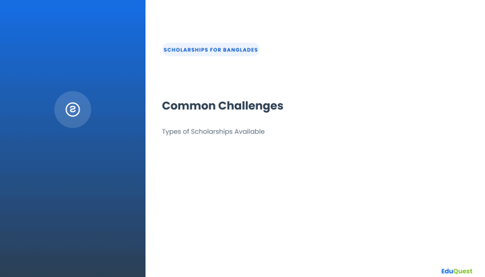 Common Challenges — Types of Scholarships Available